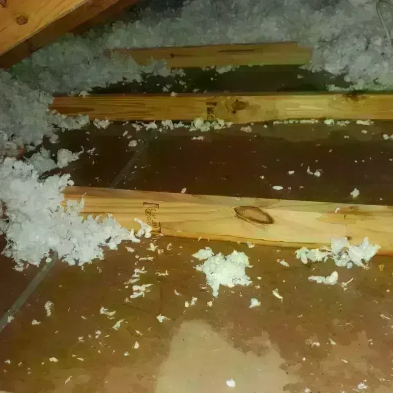 Attic Water Damage in Billings, MO