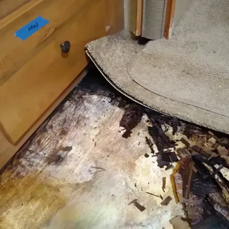 Wood Floor Water Damage in Billings, MO